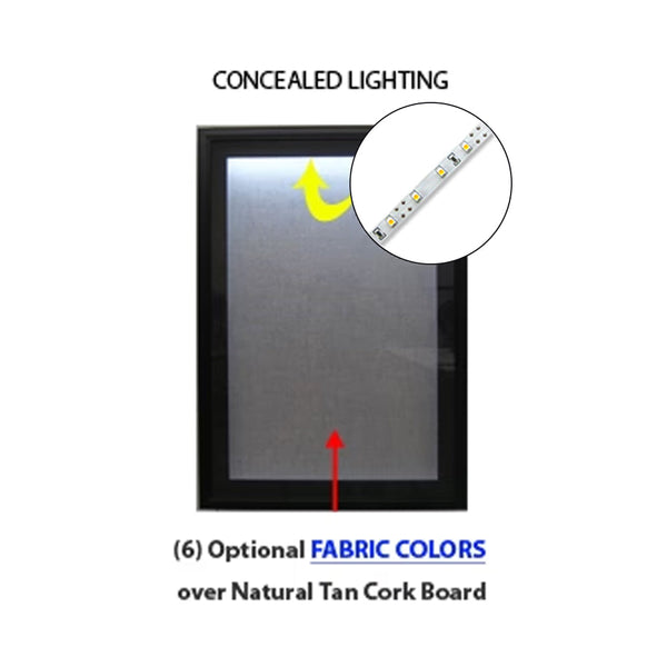 24x48 SwingFrame Designer 1 Inch Deep Shadow Box Display Case w Cork Board and Light - Metal Framed
