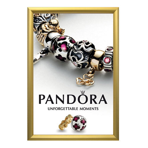 EXTRA DEEP 11 x 17 SECURITY SNAP FRAME in 1 3/4" WIDE FRAME (SHOWN in GOLD FRAME)