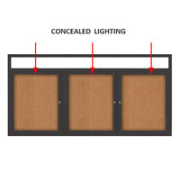 72 x 30 INDOOR Enclosed Bulletin Boards with Header & Lights (3 DOORS)