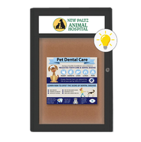 Extra Large Indoor Enclosed Bulletin Board Swing Cases 48 x 60 with Header and Lights (Radius Edge)