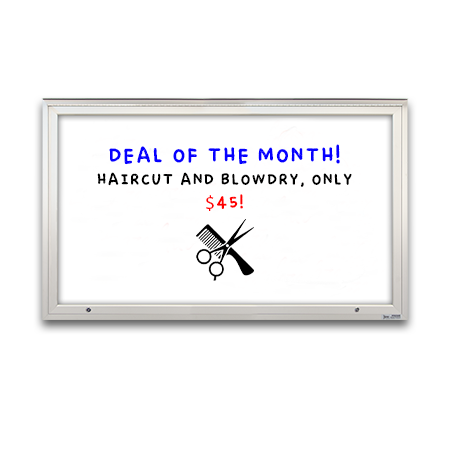 EXTREME WeatherPlus Extra Large Outdoor Dry Erase Marker Board SwingCases | White Magnetic Porcelain Steel