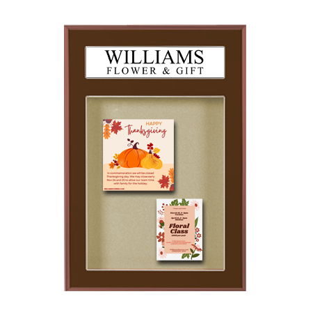 Designer 24 x 36 Metal Bulletin Board SwingFrames with Header & Lights