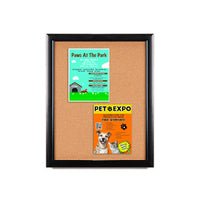 Super Wide-Face 11x14 Enclosed Bulletin Board SwingFrames