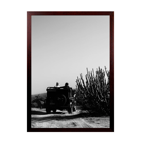 8.5 x 14 Frames for Posters Wood (362) SwingFrame