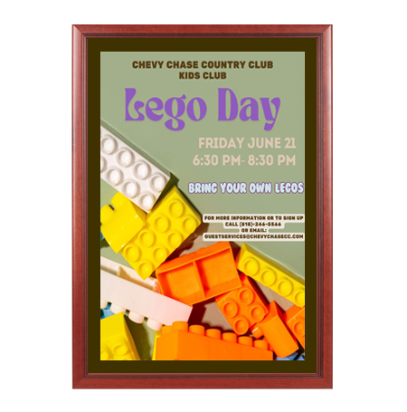 Wood 353 Poster Display SwingFrames 27x40 with Matboard