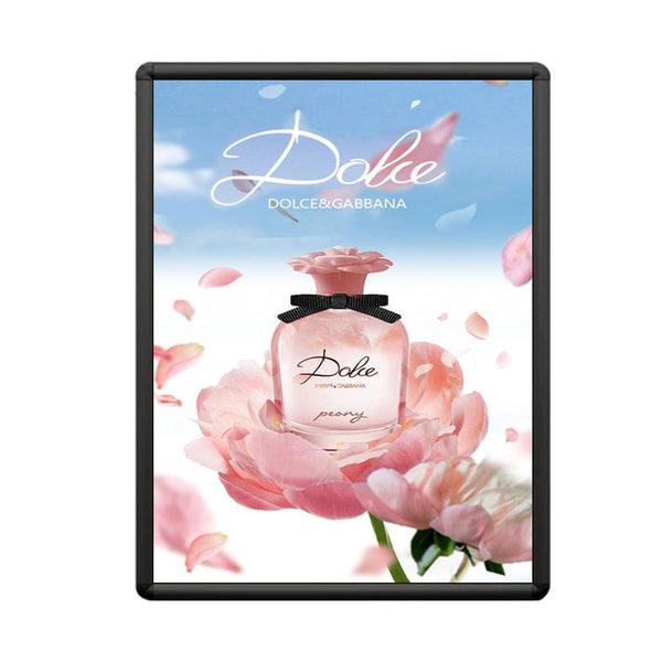 SwingSnaps Poster Snap Frames 22x28 (1" Wide with Radius Corners)