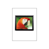 Super Wide-Face LED SwingFrame Lightboxes Edge-Lit in 5 Poster Sizes
