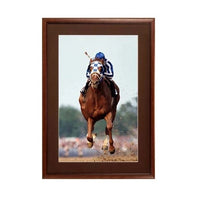 22 x 28 Wood Picture Poster Display Frames with Matboard (Wood 353)
