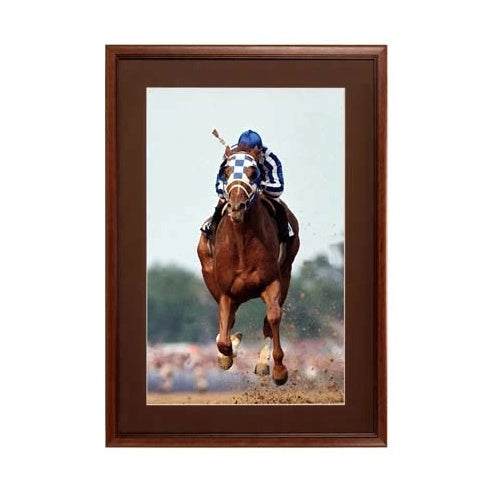 22 x 28 Wood Picture Poster Display Frames with Matboard (Wood 353)