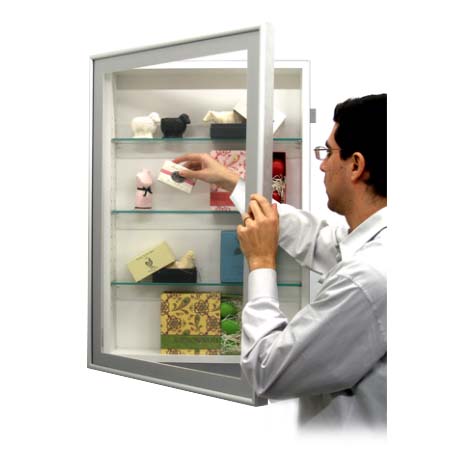 SwingFrame Designer Metal Frame Shadow Box 12" Deep  + Glass Shelves