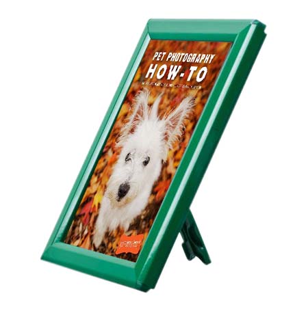 AD Promo Frame 5x7 Countertop Sign Frame | Green Snap Frame with Built-in Easel or Wall Mount