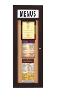 Indoor Enclosed Menu Cases with Header & Lights (Single Door)