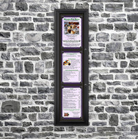 Outdoor Enclosed Magnetic Restaurant Menu Display Case | Tall, Wall Mount Metal Cabinet Holds Three 11" x 17" Portrait Menus STACKED