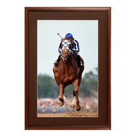 27 x 41 Wood Picture Poster Display Frames with Matboard (Wood 353)