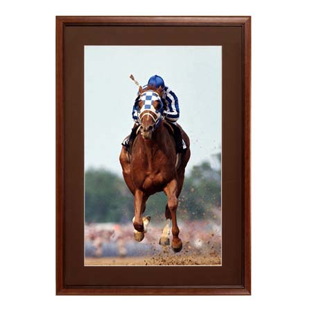 27 x 40 Wood Picture Poster Display Frames with Matboard (Wood 353)